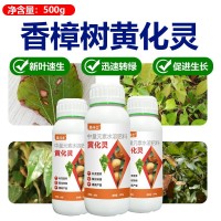 香樟樹(shù)病全管防治黃化黃龍病煙煤病炭疽病白粉病銹鐵香樟樹(shù)營(yíng)養(yǎng)液